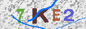 キャプチャ画像