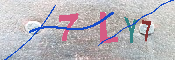 キャプチャ画像