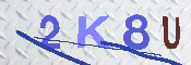 キャプチャ画像