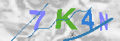 キャプチャ画像