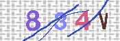キャプチャ画像