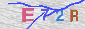 キャプチャ画像
