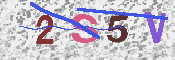 キャプチャ画像