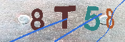 キャプチャ画像