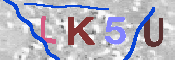 キャプチャ画像