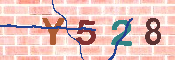 キャプチャ画像