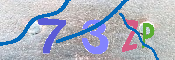 キャプチャ画像