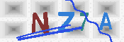 キャプチャ画像