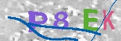 キャプチャ画像