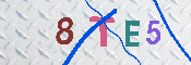 キャプチャ画像