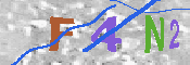 キャプチャ画像