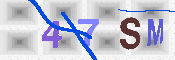 キャプチャ画像