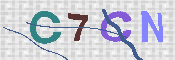 キャプチャ画像