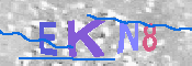 キャプチャ画像