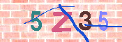 キャプチャ画像