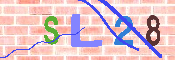 キャプチャ画像