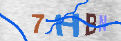 キャプチャ画像