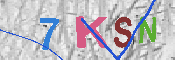 キャプチャ画像