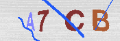 キャプチャ画像