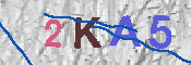 キャプチャ画像