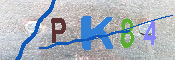 キャプチャ画像