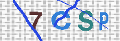 キャプチャ画像