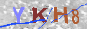 キャプチャ画像