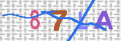 キャプチャ画像