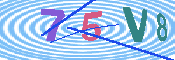キャプチャ画像