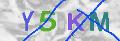 キャプチャ画像