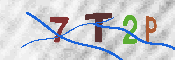 キャプチャ画像