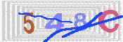 キャプチャ画像