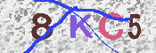キャプチャ画像