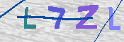 キャプチャ画像