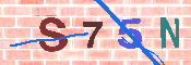 キャプチャ画像