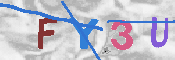 キャプチャ画像