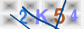 キャプチャ画像