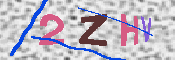 キャプチャ画像