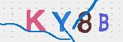 キャプチャ画像