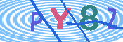キャプチャ画像