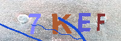 キャプチャ画像