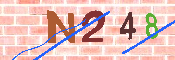 キャプチャ画像
