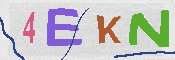 キャプチャ画像