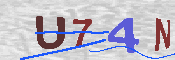 キャプチャ画像