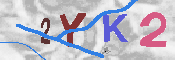 キャプチャ画像