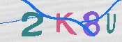 キャプチャ画像