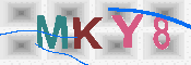 キャプチャ画像