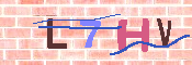 キャプチャ画像