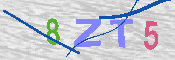 キャプチャ画像