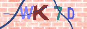 キャプチャ画像